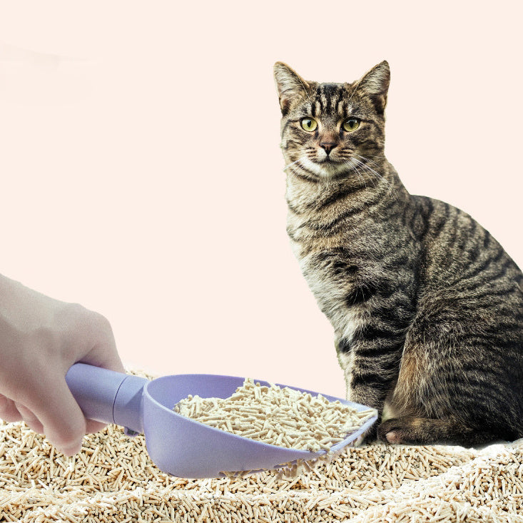 CleanSweep Litter Scoop & Base Set