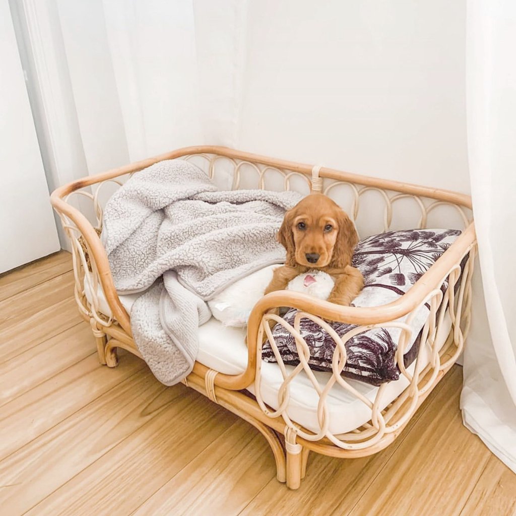 Elevate Your Pet’s Comfort with a Hand‑Woven Rattan Retreat
