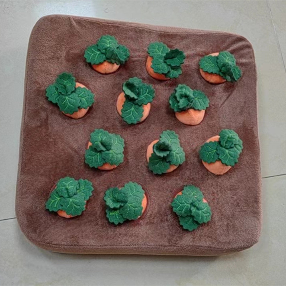 Durable Carrot Chew & Snuffle Mat Pet Toy