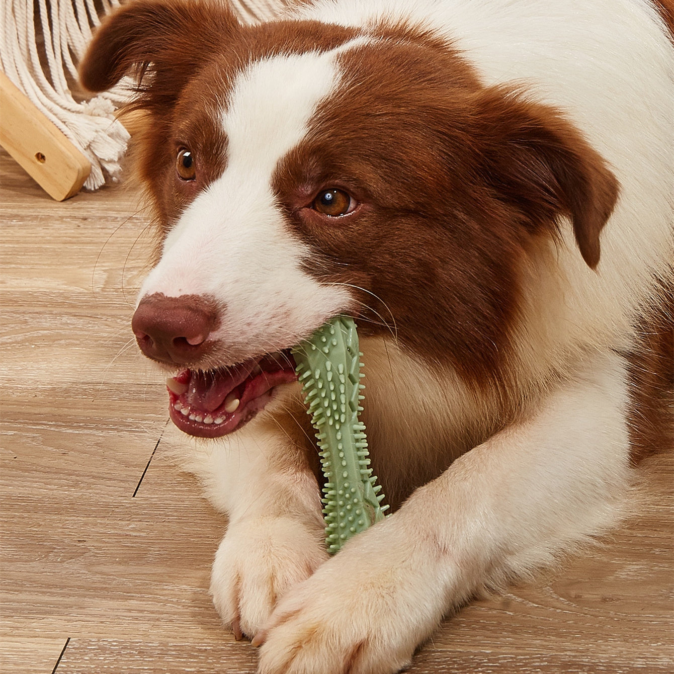 Chew Toys For Dog Teeth Cleaning - Barking Good Deals