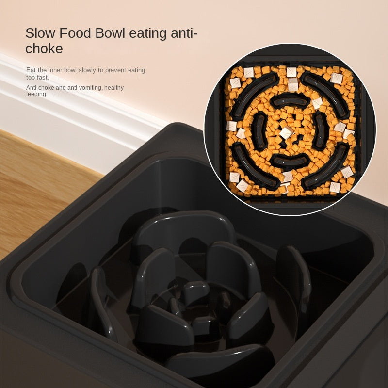 Elevated Dog Feeder with Double Stainless Steel Bowls