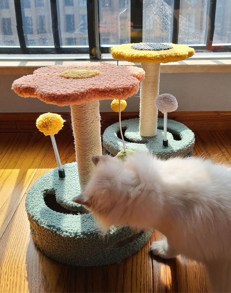 Cozy Claw & Scratch Haven – The Pleasure-Purrfect Cat Claw Care Board