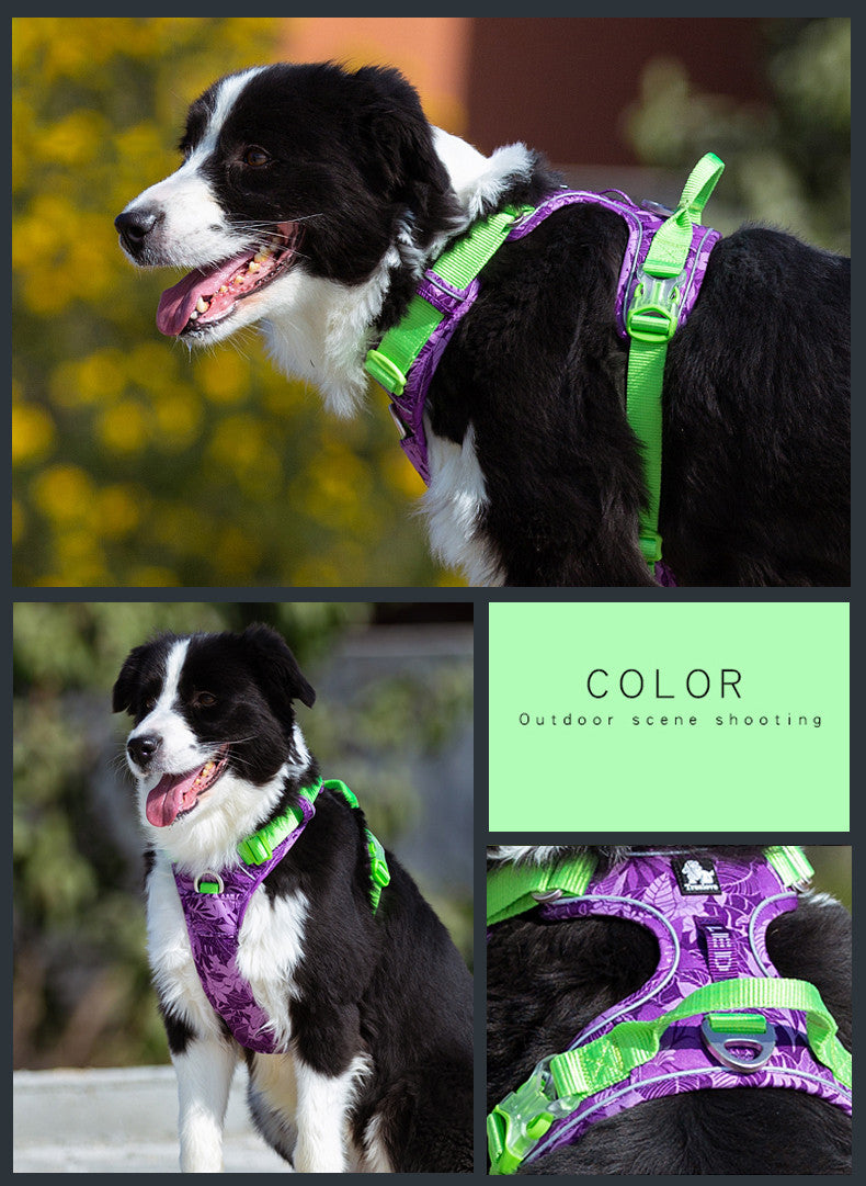 No‑Pull Comfort Vest Leash Set