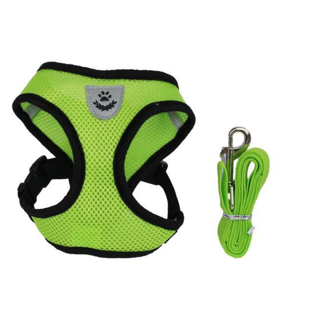 Premium Adjustable Pet Car Seat Belt Leash – Safe Travel Without Stress