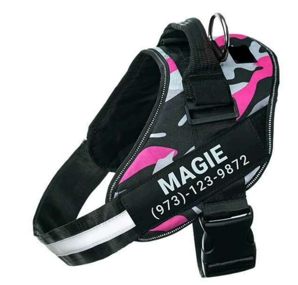 Personalized Reflective No‑Pull Harness — Custom Name Patch & Adjustable Fit