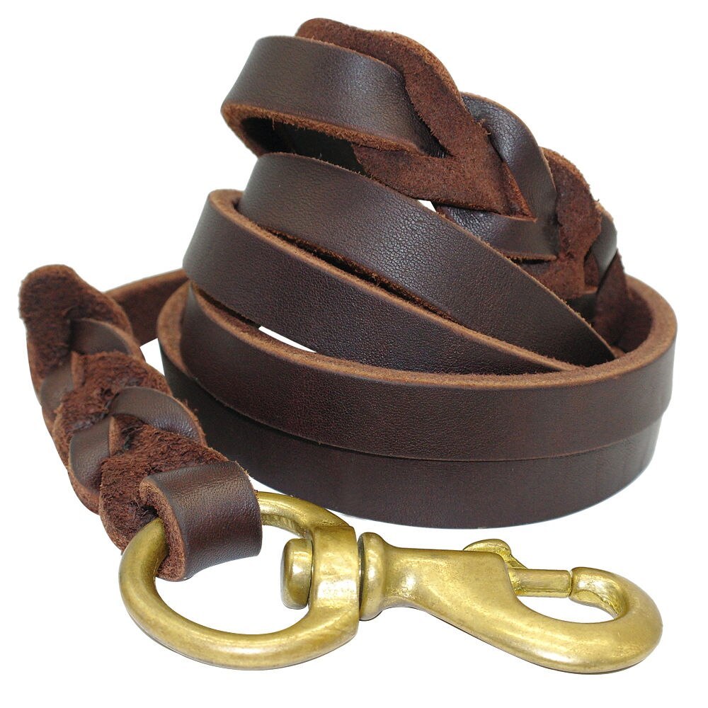 Premium Leather Chain Leash for Large & Training Dogs