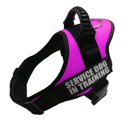 Personalized Reflective No‑Pull Harness — Custom Name Patch & Adjustable Fit
