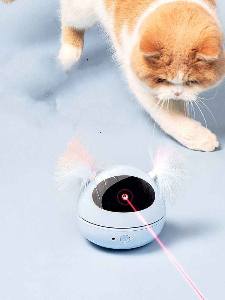 Feline Fun & Activity Toy