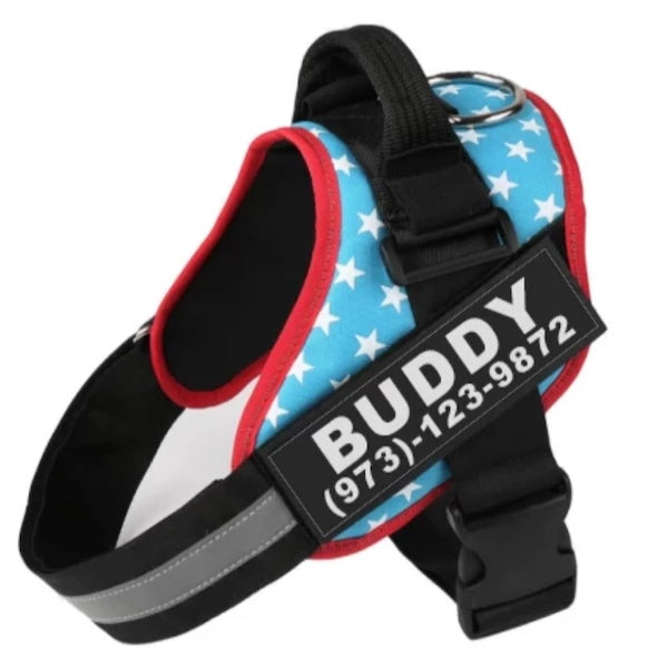 Personalized Reflective No‑Pull Harness — Custom Name Patch & Adjustable Fit