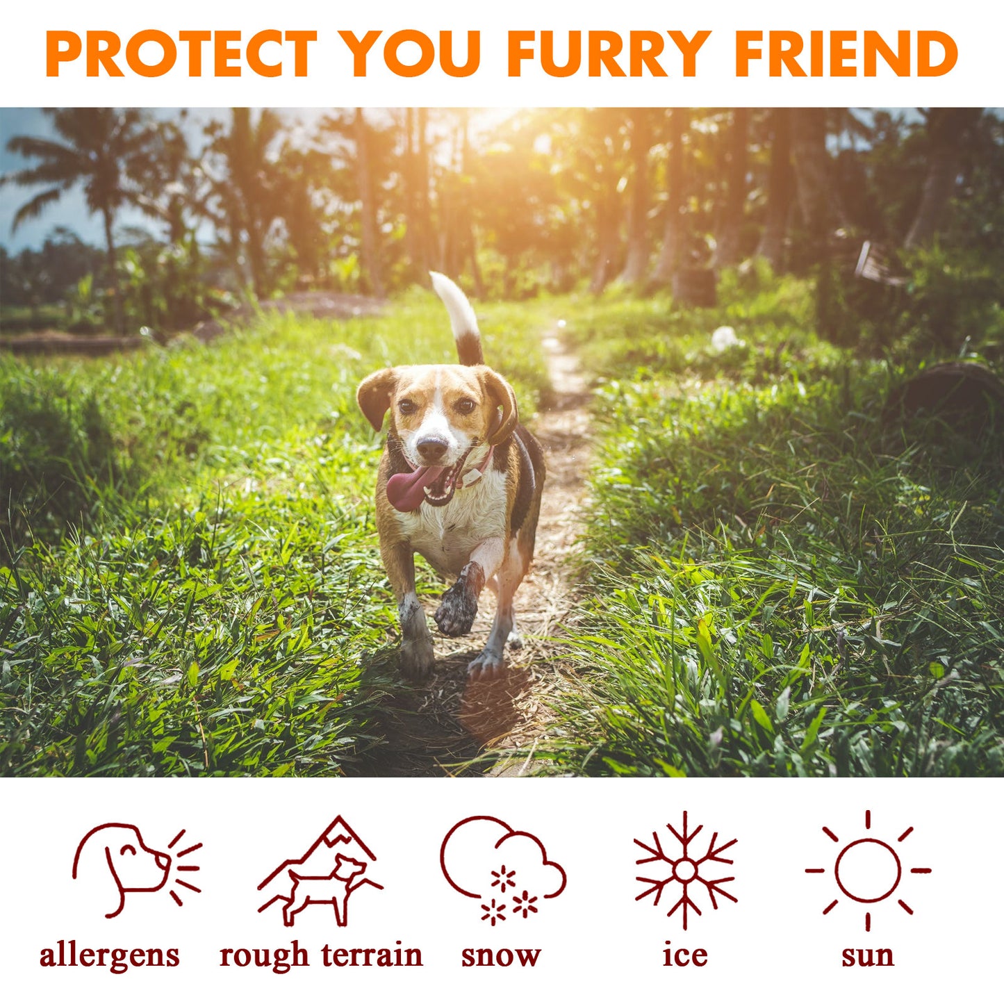 PawGuard Rescue – Paw Pad Protection Cream