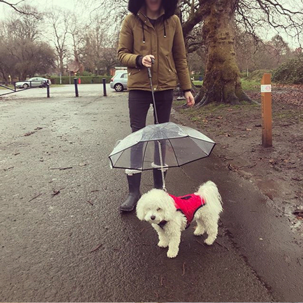 Premium Transparent Dog Umbrella with Built‑In Traction Chain