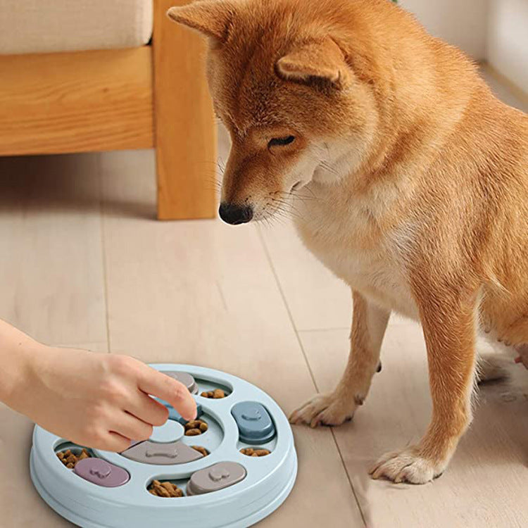 Engage & Reward: Dog Puzzle Feeding Bowl Collection