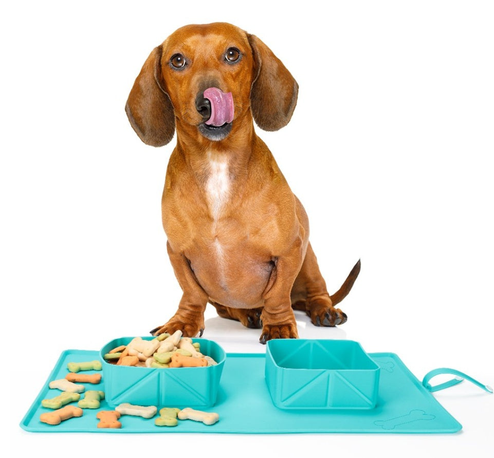 Happy Pup Silicone Bowls – Mess‑Free, Puppy‑Safe Feeding