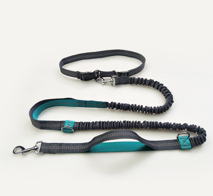Pet Supplies Multi‑Function Reflective Elastic Dog Leash for Running & Pull Control