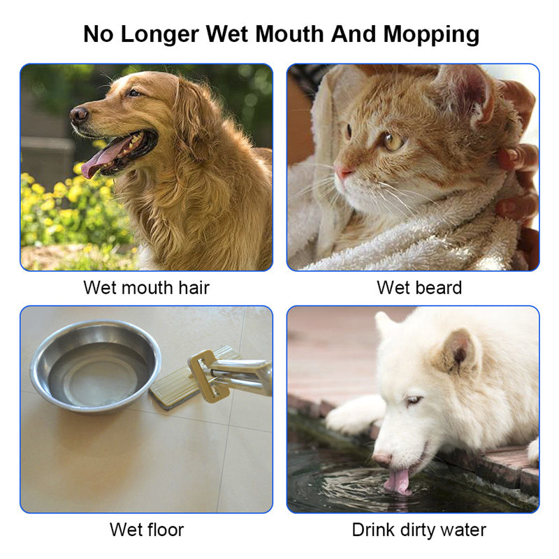 SmartSplash 1.5 L Anti‑Overflow Pet Water Bowl