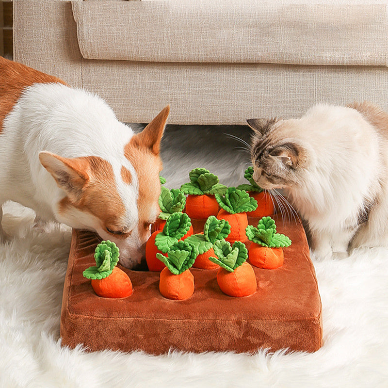 Durable Carrot Chew & Snuffle Mat Pet Toy