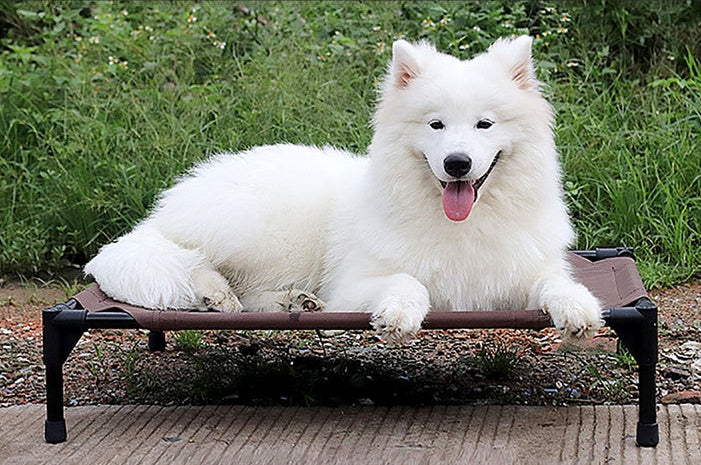 Cozy Waterproof Stackable Oxford Dog Bed – Comfort Meets Cleanliness