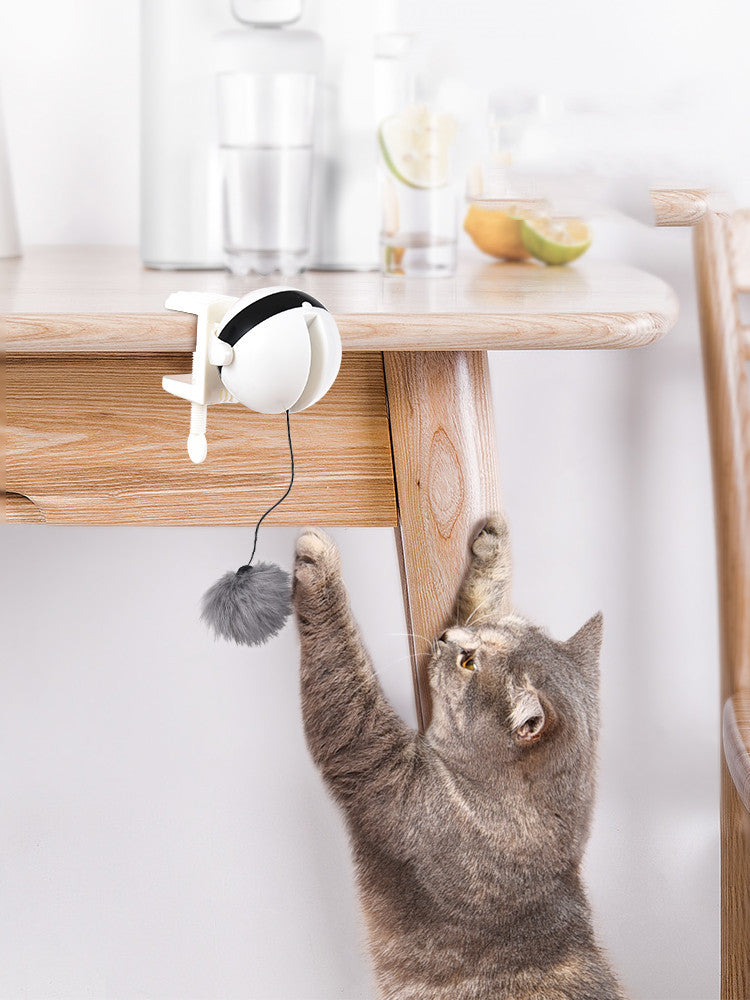 Bounce of Curiosity: Playtime That Inspires