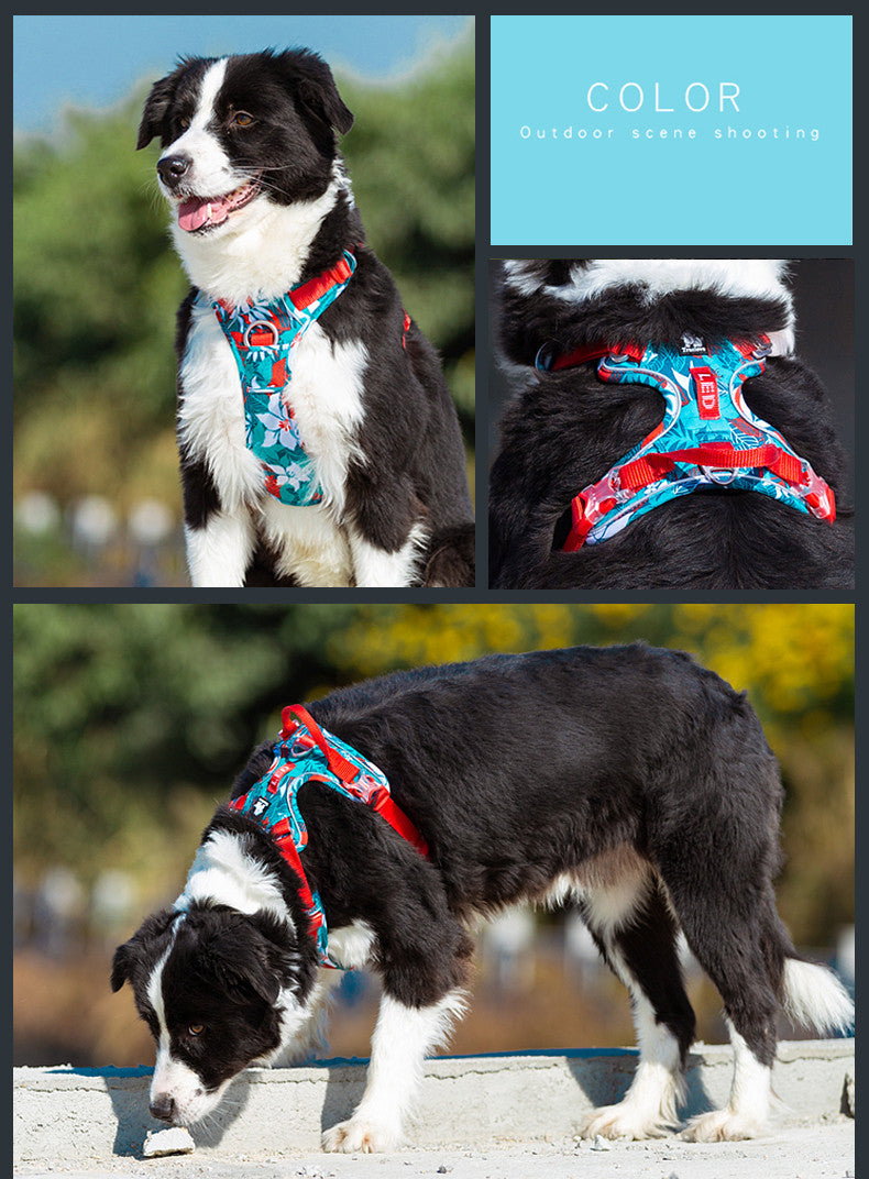 No‑Pull Comfort Vest Leash Set