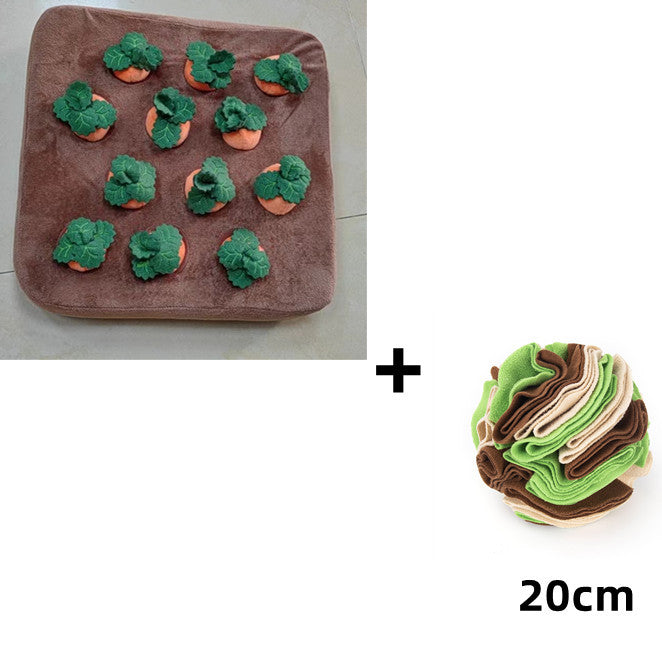 Durable Carrot Chew & Snuffle Mat Pet Toy