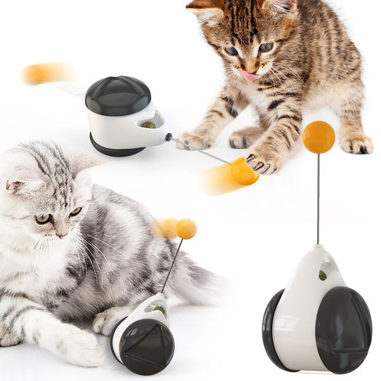 Bounce of Curiosity: Playtime That Inspires