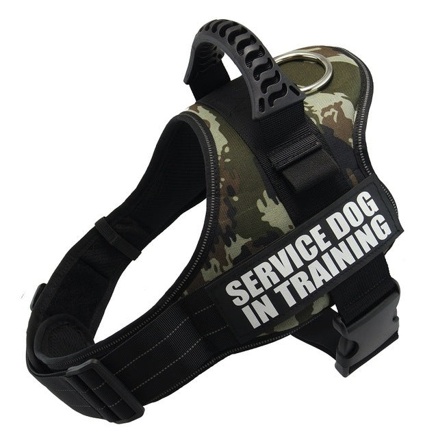 Personalized Reflective No‑Pull Harness — Custom Name Patch & Adjustable Fit