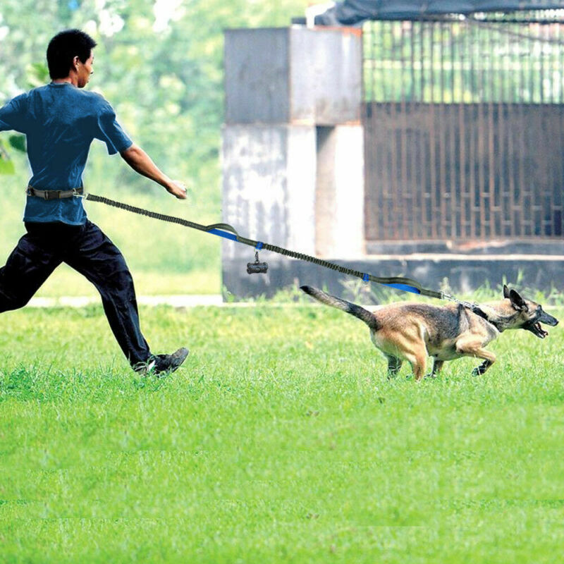 Pet Supplies Multi‑Function Reflective Elastic Dog Leash for Running & Pull Control