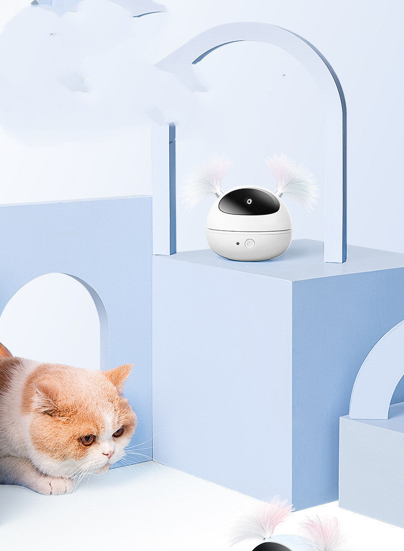 Feline Fun & Activity Toy