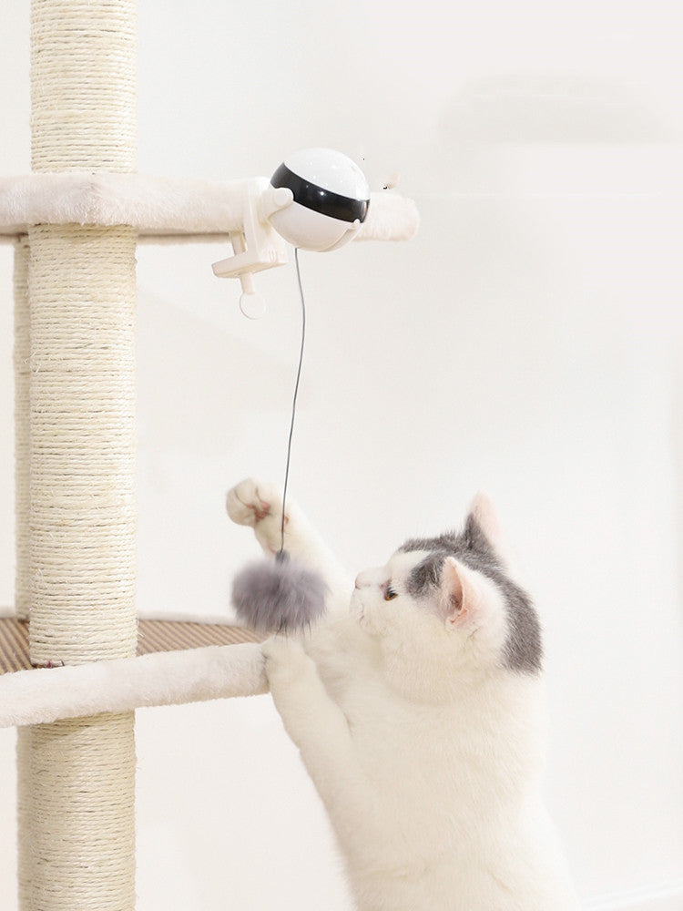 Bounce of Curiosity: Playtime That Inspires