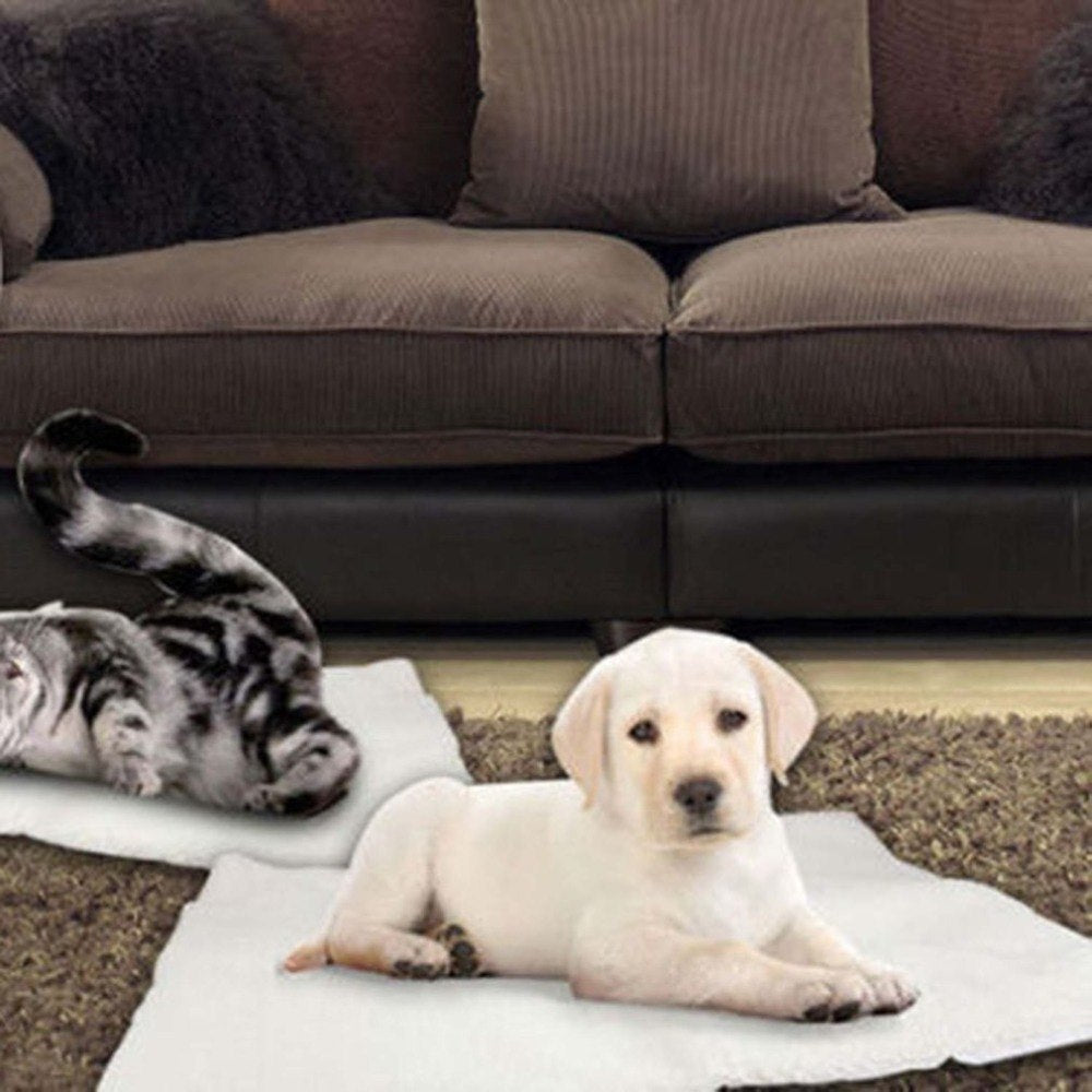 CozyNest Self‑Heating Pet Blanket — Naturally Warm Comfort, No Electricity Required