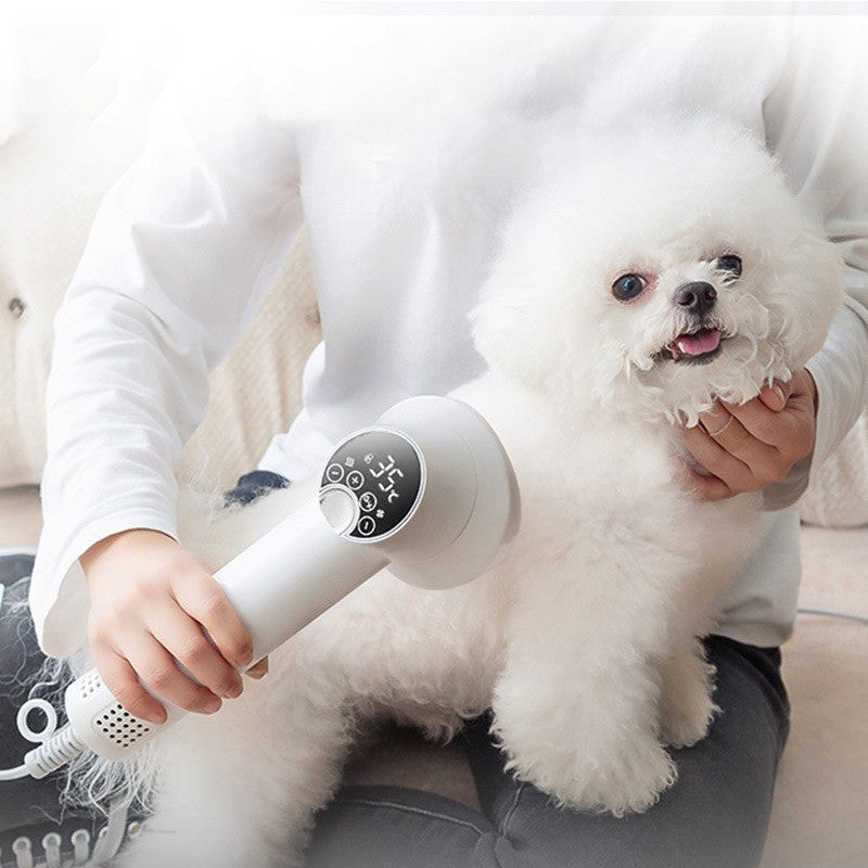 QuietComfort Pet Dryer & Comb