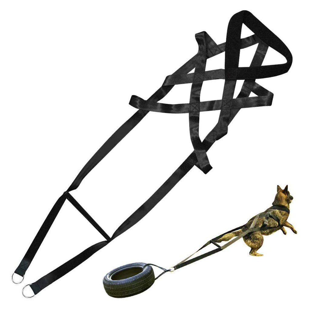 Reflective Nylon Chest‑Strap Dog Harness – Safe Control Without Neck Strain