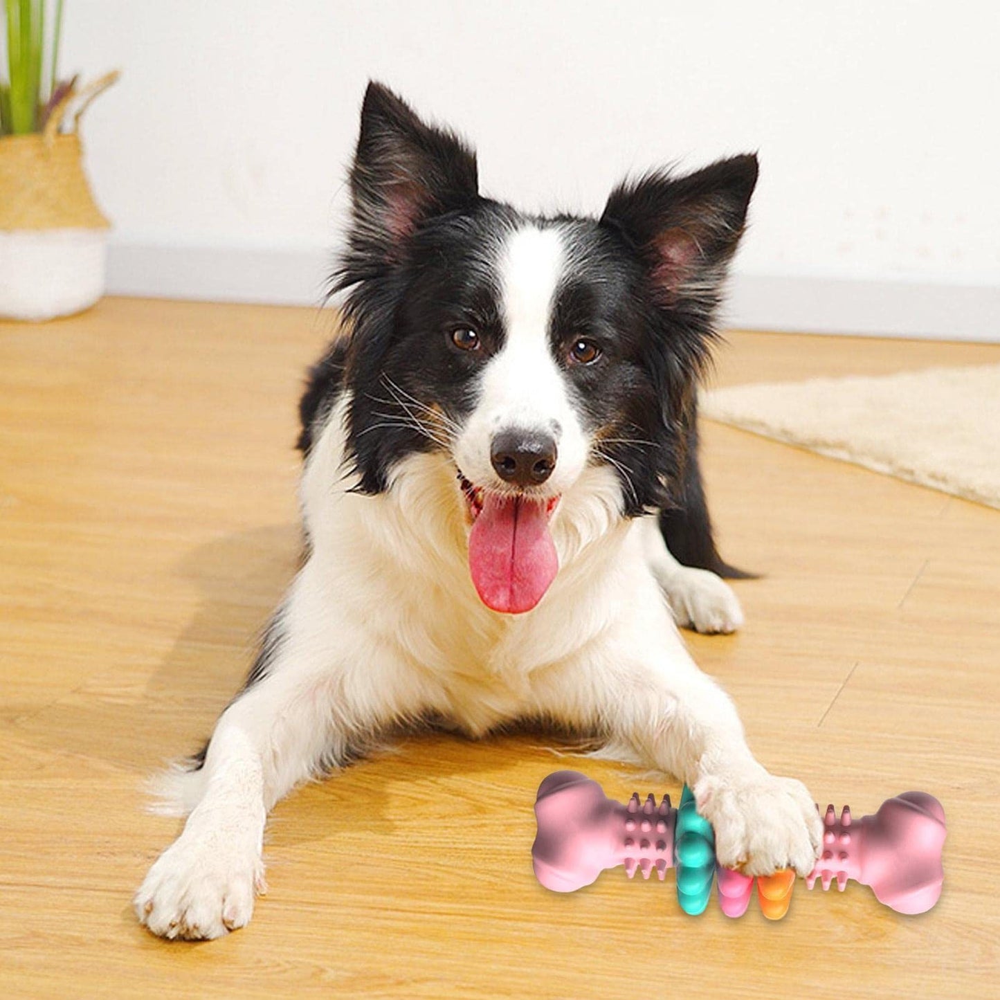 Indestructible TPR Bone – Dental & Anxiety‑Relief Chew Toy