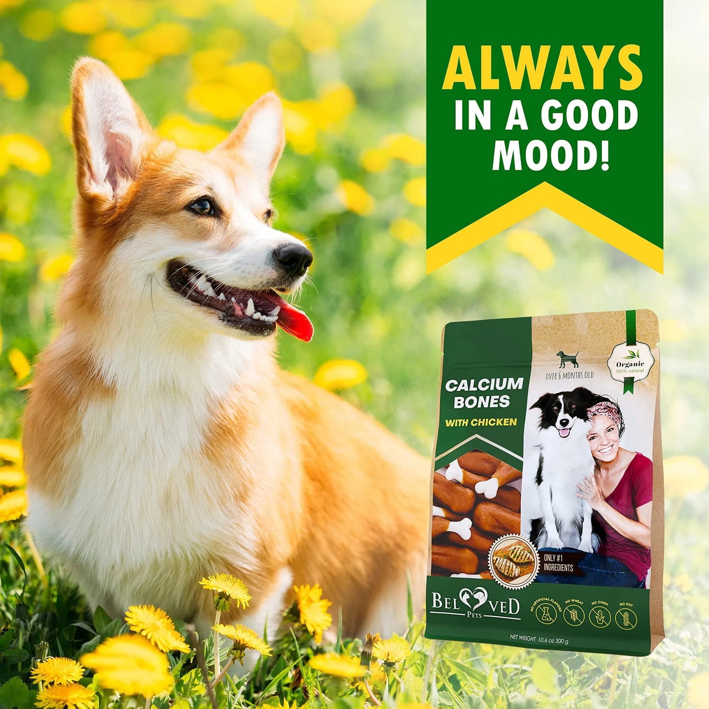 Grain‑Free Chicken‑Wrapped Calcium Chew – Rawhide‑Free Dental Treat