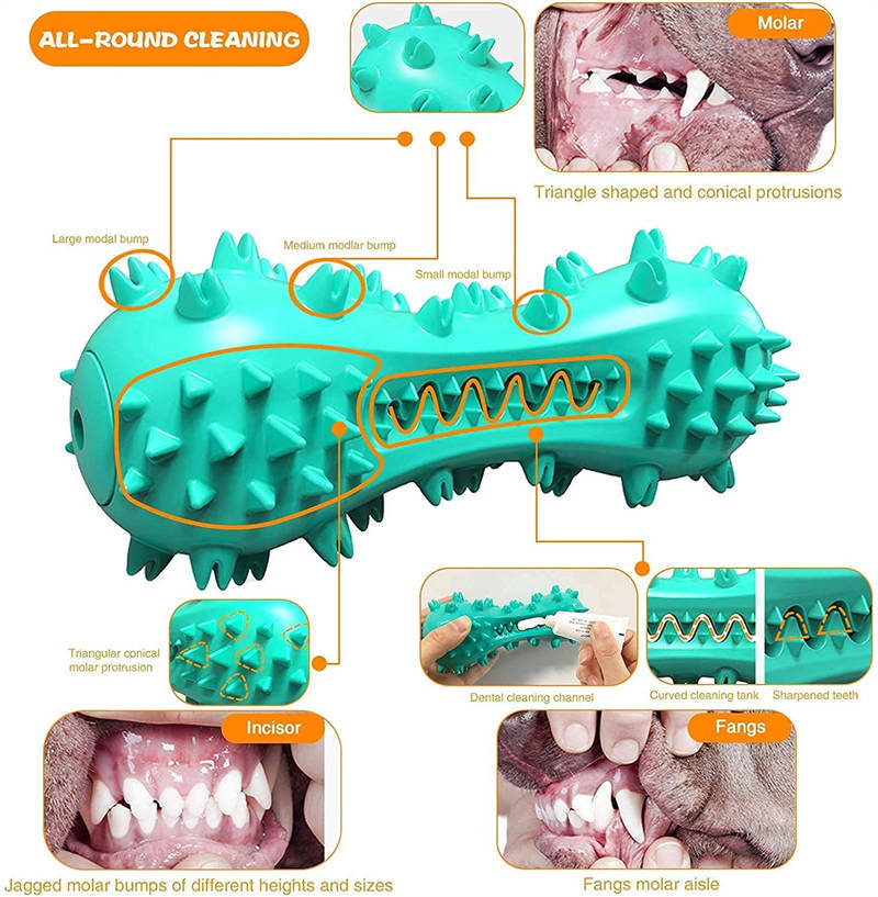 Aggressive Chewer Dental Molar Stick