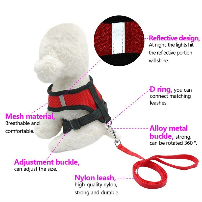 Premium Adjustable Pet Car Seat Belt Leash – Safe Travel Without Stress