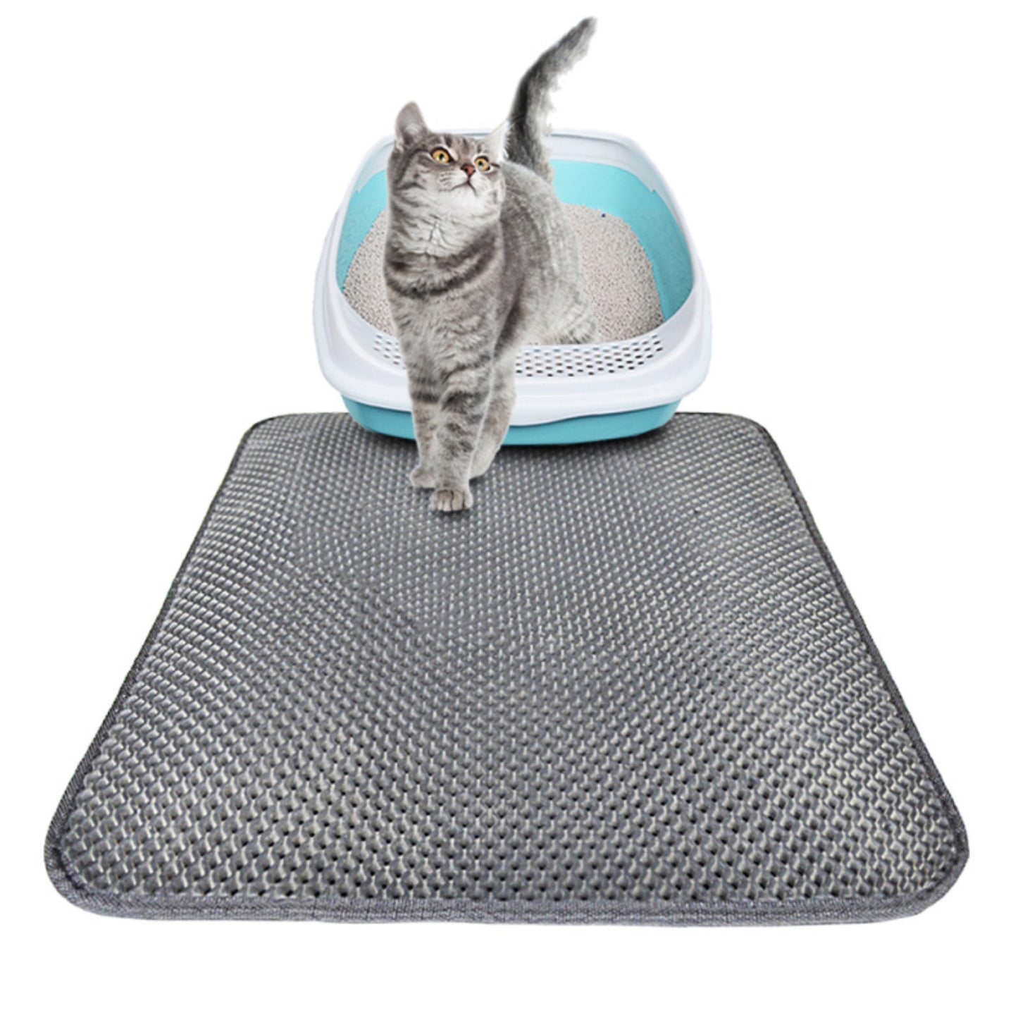 Double-Layer Cat Litter Mat – Keep Floors Clean & Paws Happy