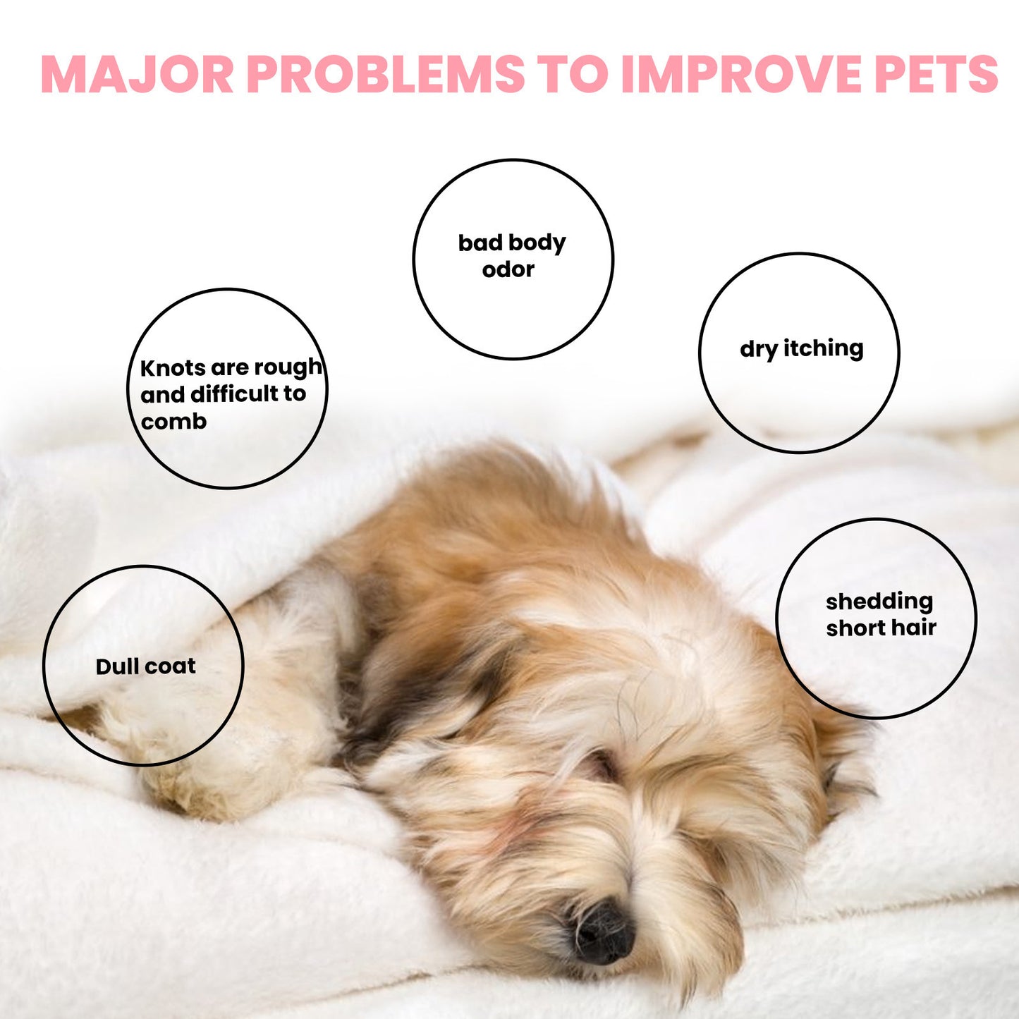 Hair Supple • Anti‑Mite Cleansing Pet Soap