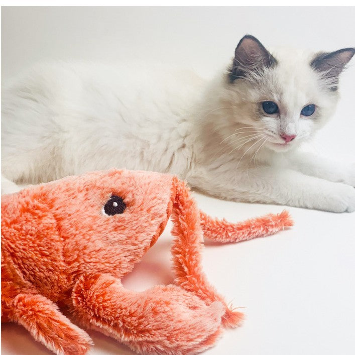 Unforgettable Fun: Let Your Cat Play with Joy