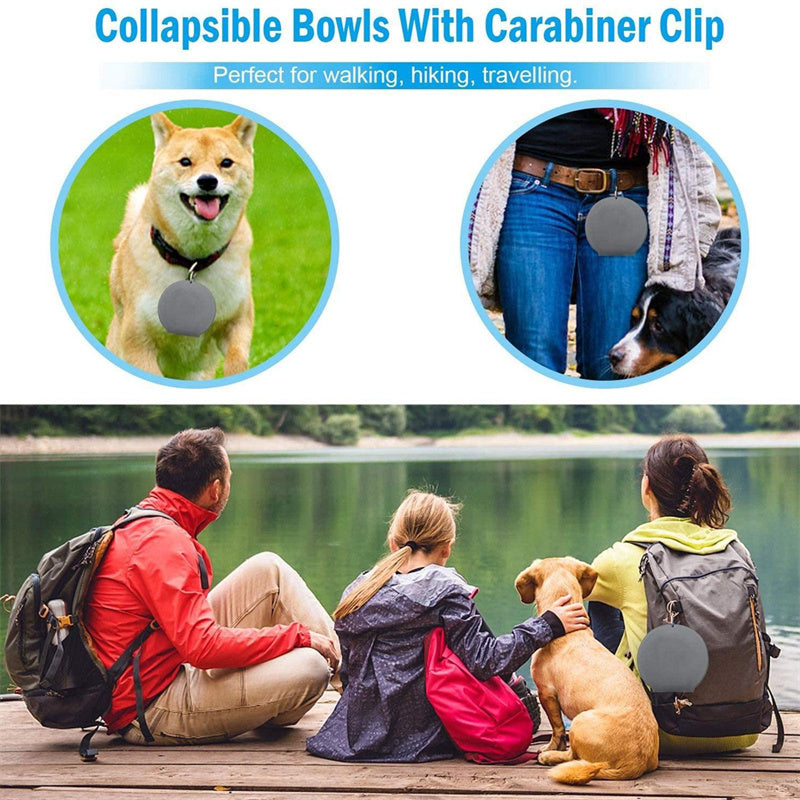 Foldable Double Pet Bowl — Travel-Friendly Feeding for Dogs & Cats