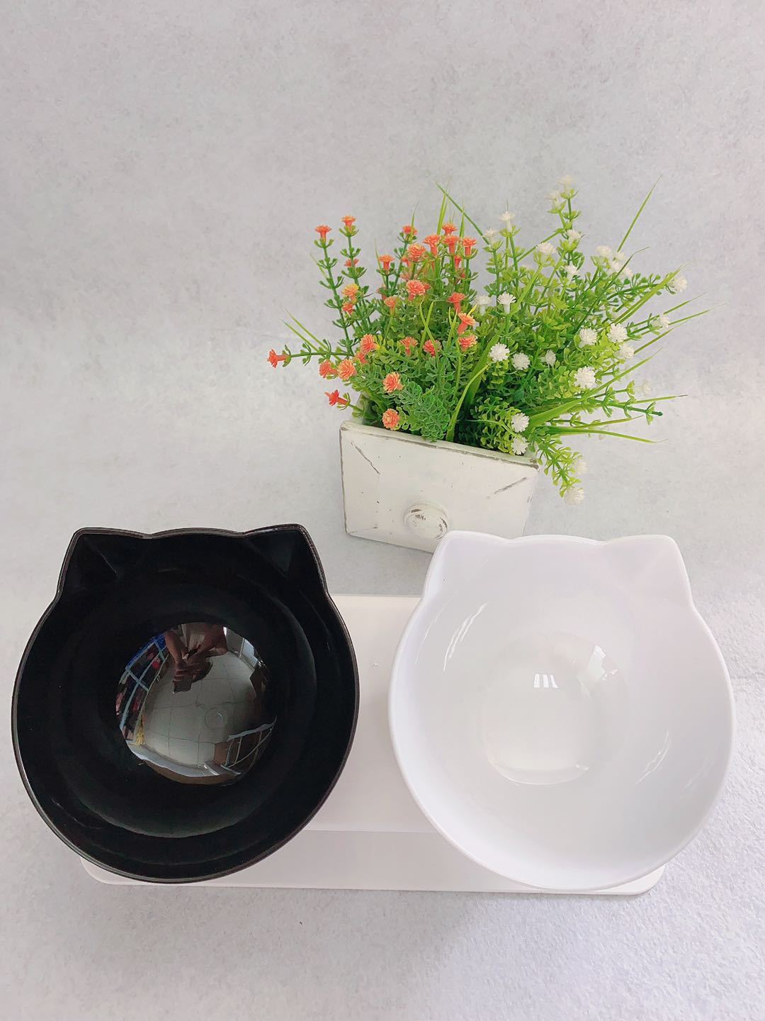 Ergonomic Double Tilted Cat Bowl – Neck‑Kind & Mess‑Smart Dual Feeder