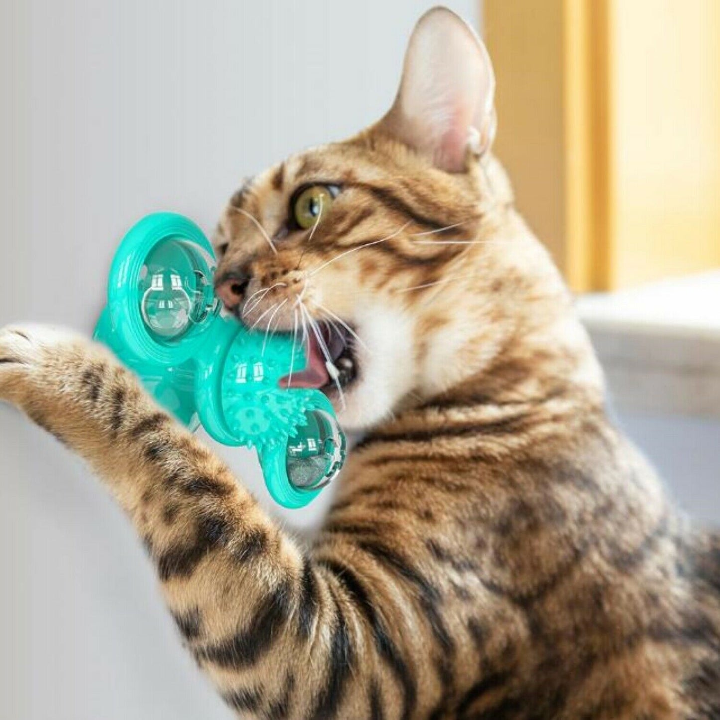 Windmill Spin‑Fun Cat Toy: Interactive Suction, Catnip & Dental Massage Spinner