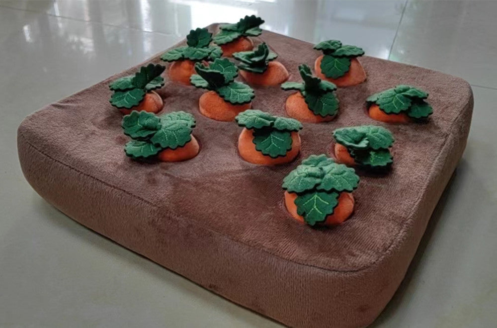 Durable Carrot Chew & Snuffle Mat Pet Toy