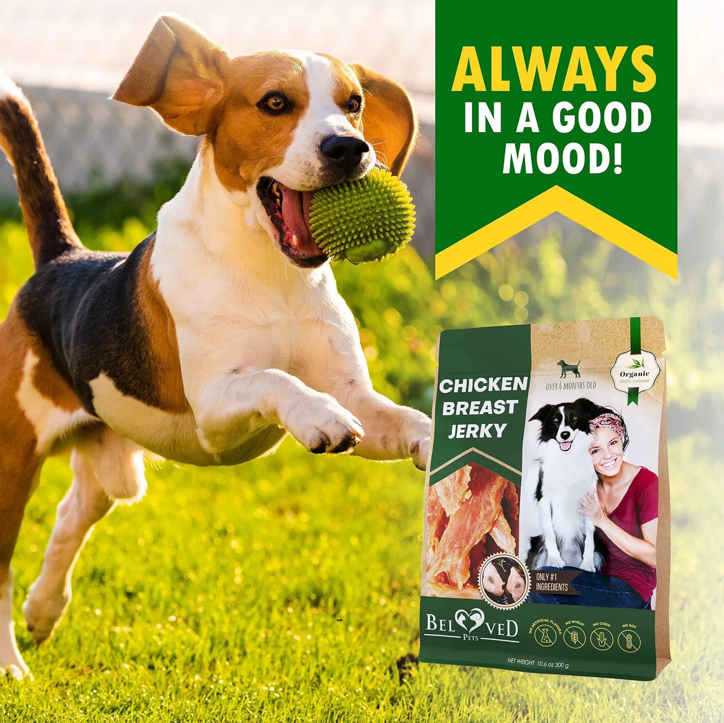 All‑Natural Chicken Jerky Dog Treats – Grain‑Free, High‑Protein Human‑Grade Chews