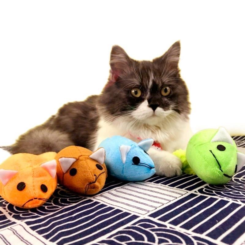 Long‑Tail Teaser Mouse – Irresistible Chase Toy for Happy, Active Cats