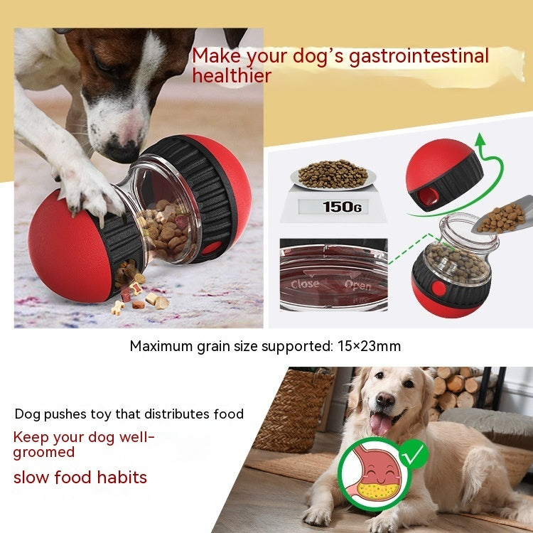 Slow‑Fed Happiness: Brain Boost & Gut Soother