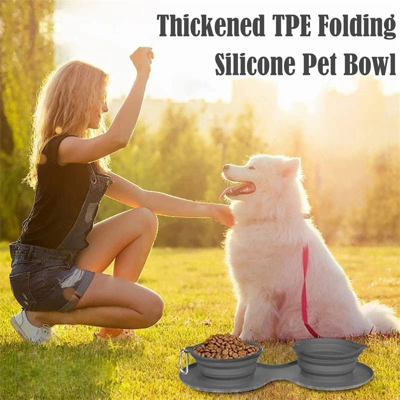 Foldable Double Pet Bowl — Travel-Friendly Feeding for Dogs & Cats