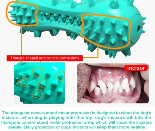 Aggressive Chewer Dental Molar Stick