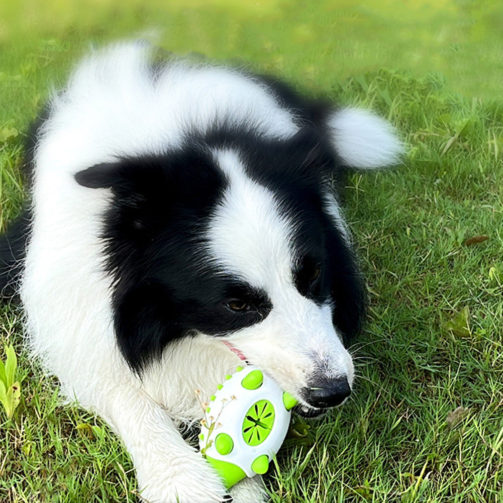 Interactive TPR Food‑Dispensing Dog & Cat Toy – Clean Teething, Smart Play