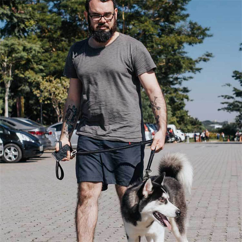 Multifunctional Shock‑Absorbing Dog Leash (4–6 ft) with Seatbelt Attachment